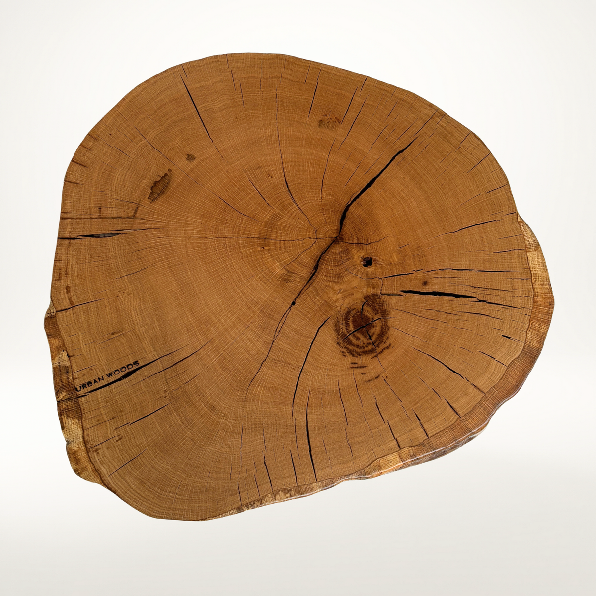 AX361 tölgy dohányzóasztal 67cm